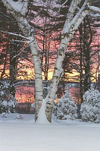 Photo:  Charles River In Winter -- Improve Your Vision Now